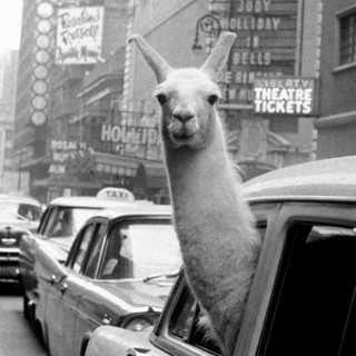 Inge Morath: prorogata la mostra fotografica al Ducale