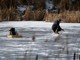 La pesca sul ghiaccio: storia e fascino di una tradizione nordica La pesca sul ghiaccio: storia e fascino di una tradizione nordica