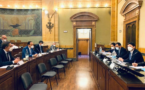 Peste suina, vertice tra i presidenti di Piemonte e Liguria e i ministri Patuanelli e Speranza (FOTO)