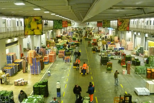 Mercato di Genova: Fruit Logistica a Berlino nuove collaborazioni con altri mercati e porti