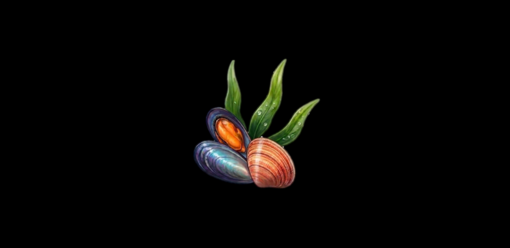 Gusci di molluschi e biomasse algali diventano risorse con il progetto UniGe LASER Gusci di molluschi e biomasse algali diventano risorse con il progetto UniGe LASER