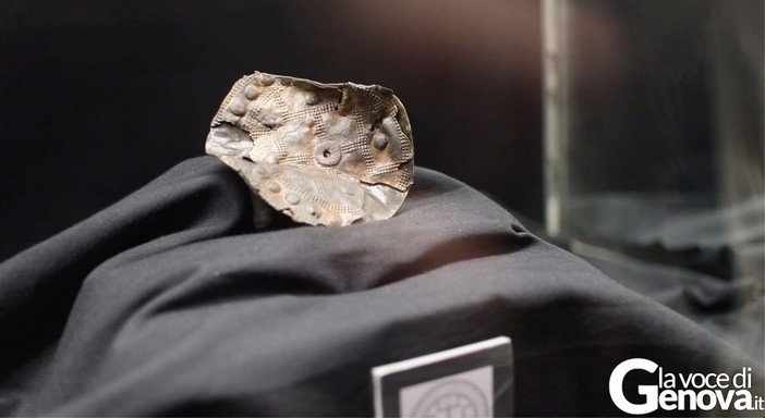Museo Archeologico di Chiavari: il mistero dei dischi lunari