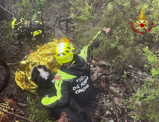 Ritrovato il cercatore di funghi disperso nei boschi di Arenzano Ritrovato il cercatore di funghi disperso nei boschi di Arenzano