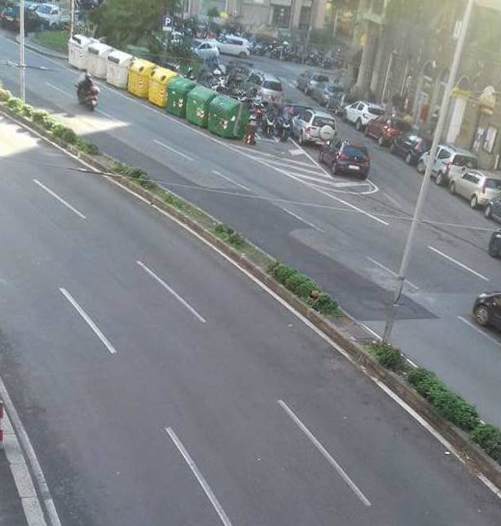 Aiuole spartitraffico belle a Levante, trascurate a Ponente. Maranini (Pd): "Periferie abbandonate" Aiuole spartitraffico belle a Levante, trascurate a Ponente. Maranini (Pd): "Periferie abbandonate"