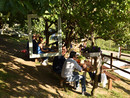 Serra Riccò accende l’estate con l’Agrisummer Party: quattro giorni tra gusto, musica e km zero Serra Riccò accende l’estate con l’Agrisummer Party: quattro giorni tra gusto, musica e km zero