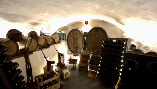 Sorsi di Genova: il Janua Wine Tour rivela i tesori del vino nel cuore della città