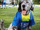 Premio fedeltà del cane a Camogli: tra i protagonisti Leo, la mascotte della Feralpisalò