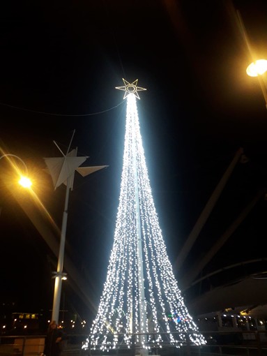 Genova s'illumina per le feste: accensione dell'albero di Natale a De Ferrari e Certosa