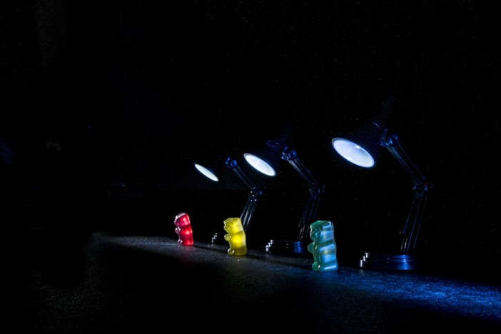 Il conflitto in miniatura che interroga il presente: a Genova arriva “La Grande Guerra degli Orsetti Gommosi”