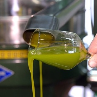 Slow Food ha presentato “La Guida agli Extravergini” 2022  per far conoscere oli, uomini e territori. BioDea un workshop seguitissimo