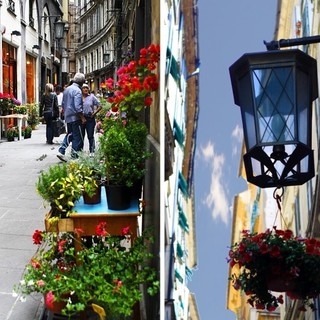 Da giovedì a sabato prossimi torna la mostra-mercato "Via Luccoli in fiore"