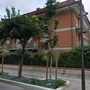 Santa Margherita Ligure presenta il premio letterario "Santa in Giallo 2026"