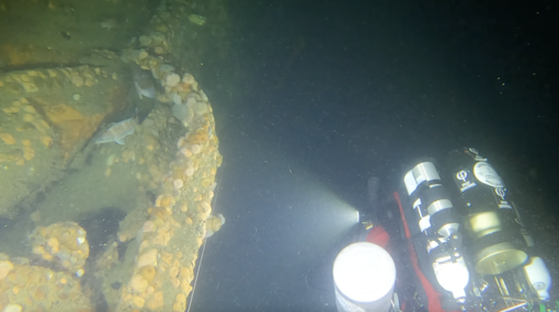 La turbonave Andrea Doria non smette di stupire: tutti i segreti del transatlantico svelati dall'ultima esplorazione subacquea La turbonave Andrea Doria non smette di stupire: tutti i segreti del transatlantico svelati dall'ultima esplorazione subacquea