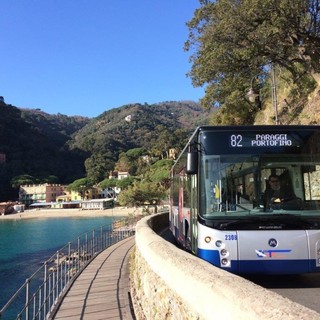 Santa Margherita-Portofino: i bambini a bordo del bus 82
