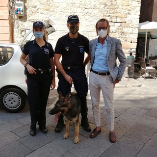 Piano lupo, De Ferrari (M5S): "Proteggiamo il lupo per proteggere i nostri agricoltori e la biodiversità" Piano lupo, De Ferrari (M5S): "Proteggiamo il lupo per proteggere i nostri agricoltori e la biodiversità"