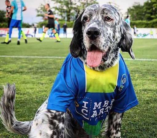 Premio fedeltà del cane a Camogli: tra i protagonisti Leo, la mascotte della Feralpisalò