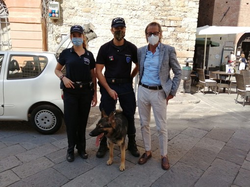 Piano lupo, De Ferrari (M5S): "Proteggiamo il lupo per proteggere i nostri agricoltori e la biodiversità" Piano lupo, De Ferrari (M5S): "Proteggiamo il lupo per proteggere i nostri agricoltori e la biodiversità"