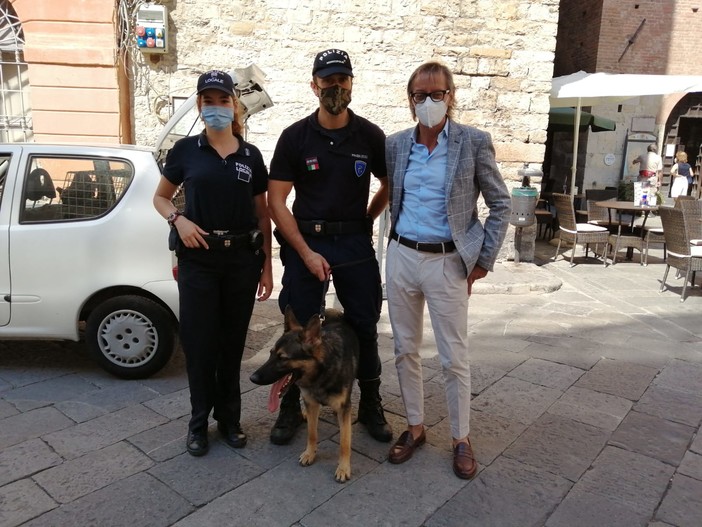 Piano lupo, De Ferrari (M5S): "Proteggiamo il lupo per proteggere i nostri agricoltori e la biodiversità"