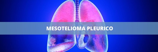 Amianto nelle scuole: la Corte d’Appello di Trieste condanna il Ministero dell’Istruzione e del merito per una vittima di mesotelioma