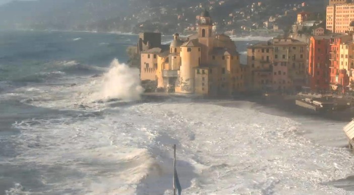 Foto di Michele Samp