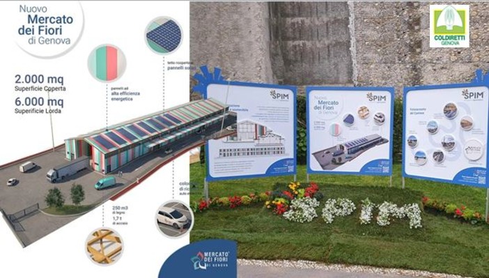 Ai blocchi di partenza il nuovo mercato dei fiori