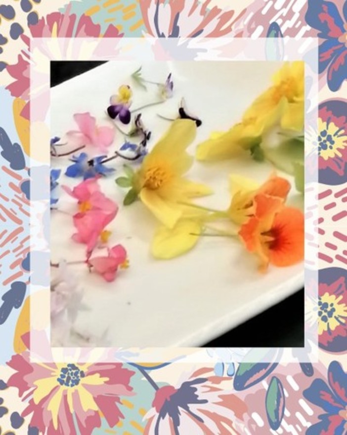 “Mangiare i Fiori” una cena di Gala esclusiva mercoledì 11 maggio a Sanremo: Prenotazioni aperte