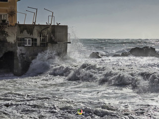 Foto di Salvatore Camba