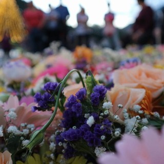 La festa della Madonna dei fiori