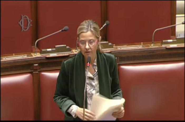 Mar Rosso, Gadda (Iv): "Tavolo contro danni a export agroalimentare"