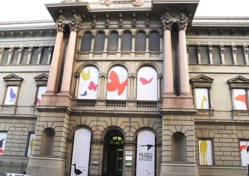 Boom di visite ai Musei di Genova: in tre mesi oltre 340 mila visitatori