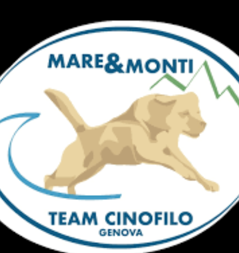 Brevetto Nazionale di primo soccorso: domenica 20 giugno Mare & Monti Team Cinofilo Genova organizza l'evento Brevetto Nazionale di primo soccorso: domenica 20 giugno Mare & Monti Team Cinofilo Genova organizza l'evento