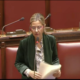Mar Rosso, Gadda (Iv): "Tavolo contro danni a export agroalimentare"