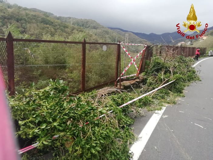 Maltempo: intervento dei Vigili del fuoco di Multedo sulla strada statale del Turchino