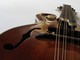 Donati a Genova due mandolini con spartiti di Paganini