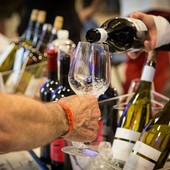 Mare&Mosto arriva a Genova, Palazzo Ducale ospita l'eccellenza di vino e olio ligure Mare&Mosto arriva a Genova, Palazzo Ducale ospita l'eccellenza di vino e olio ligure
