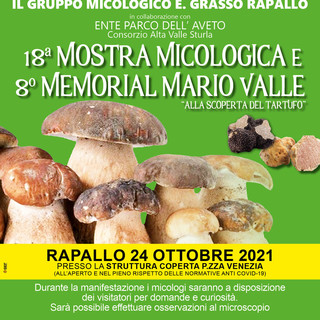 Torna a Rapallo la Mostra Micologica - Memorial Mario Valle