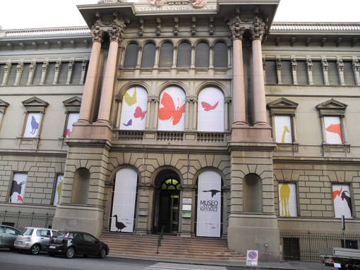 Dal Comune un milione di euro per il museo di Storia Naturale ‘Giacomo Doria’