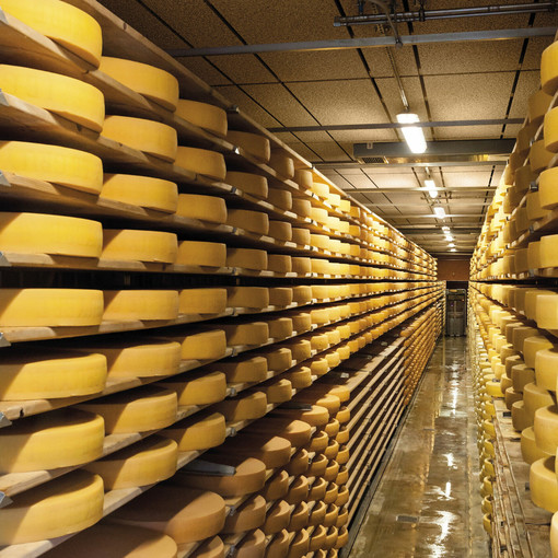 Proteggi il tuo investimento: scegli la copertura perfetta per il tuo stabilimento Proteggi il tuo investimento: scegli la copertura perfetta per il tuo stabilimento