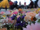 La festa della Madonna dei fiori La festa della Madonna dei fiori