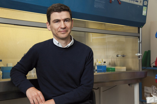 Coronavirus: intervista a Mihai Netea dell’Università di Radboud (Olanda), uno tra i massimi esperti d'immunologia al mondo