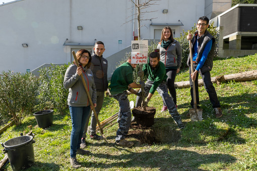 "M'Illumino di Meno", anche l'Istituto Italiano di tecnologia aderisce all'iniziativa ecologica "M'Illumino di Meno", anche l'Istituto Italiano di tecnologia aderisce all'iniziativa ecologica