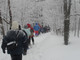 Nella foto la marcia nell'inverno del 2015 in difesa del Parco