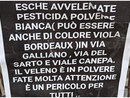 Foto Facebook Nucleo Laika È Animalista