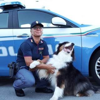 Prestarono servizio tra le rovine del Ponte Morandi, premiati il cane poliziotto genovese Night Spirit e la sua conduttrice Prestarono servizio tra le rovine del Ponte Morandi, premiati il cane poliziotto genovese Night Spirit e la sua conduttrice