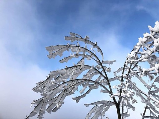 Meteo: oltre mezzo metro di neve previsto in Val Bormida