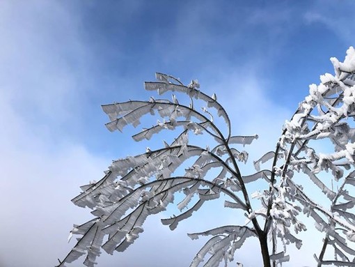 Prime nevicate sulle colline di Genova, la temperatura crolla a 2°C in centro