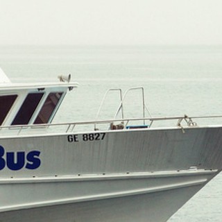 Navebus, il servizio sarà finanziato dalla Regione per tutto il 2020