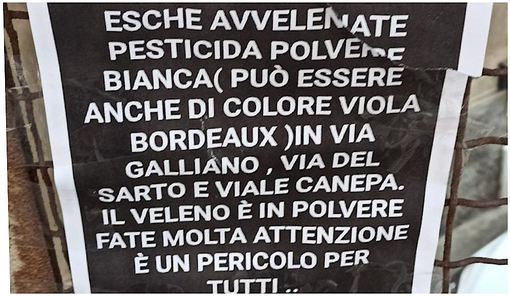 Foto Facebook Nucleo Laika È Animalista