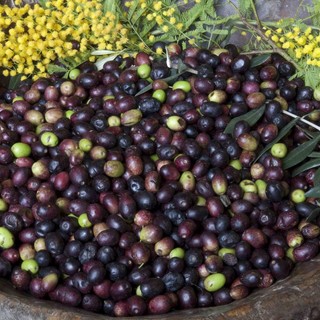 “Made in Liguria” protagonista al festival del giornalismo alimentare [FOTO]