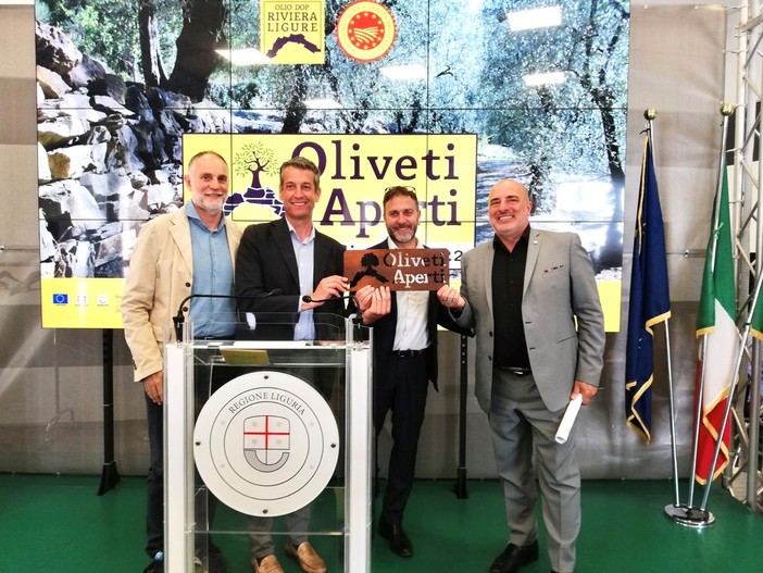 Oliveti Aperti, la Liguria celebra l’olivicoltura eroica da Ponente a Levante (Video)
